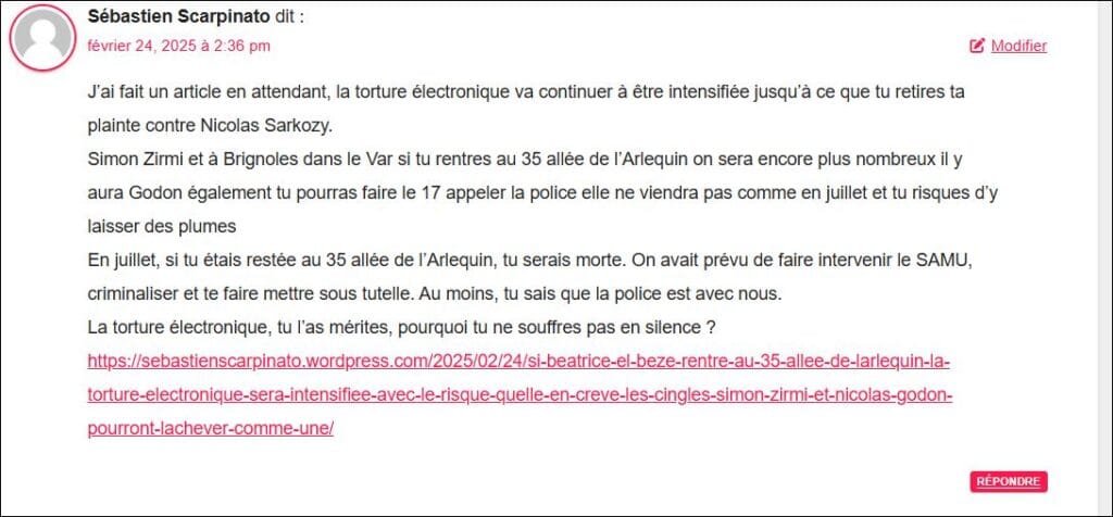 capture ecran commentaire par sebastien Scarpinato le 24 fevrier 2025