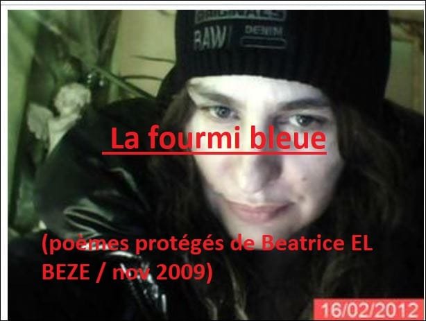 L’attribut alt de cette image est vide, son nom de fichier est ma-fpurmi-bleur.jpg.