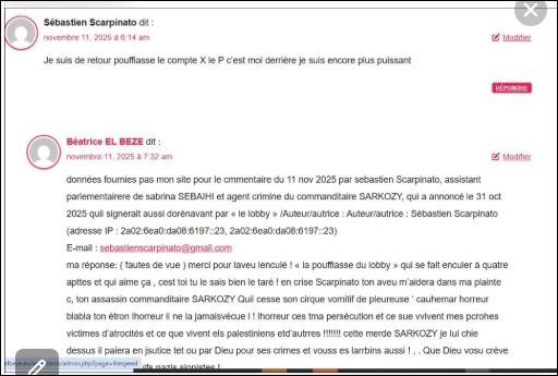 capture écran aveu de lagent ciminel de SARKOZY, sebastien SCARPINATO